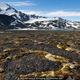 Permafrost en Svalbard. Wild Wonders of Europe